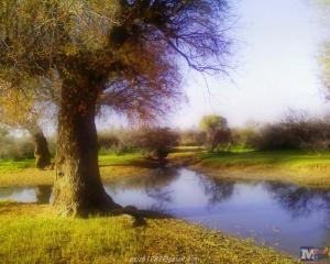 Dayet Azzarga, Daira de Messaad, W.Djelfa