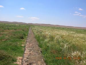 Travaux de CES à travers Wilaya de Djelfa