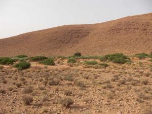 Oued Es saboune, Deldoul,Djelfa