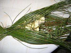 Fromage à la tradition de Djelfa