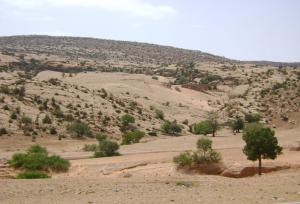 Retenue D'eau aux environs de Djelfa