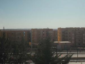 Djelfa sous la Neige