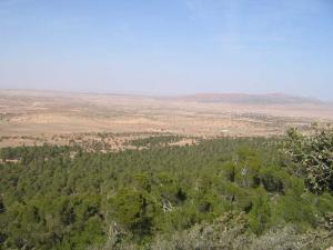 Boumlil versant nord