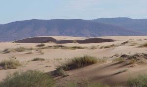 Djelfa à l'entrée du désert