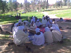 Vieillards de Djelfa entrain de boire du café