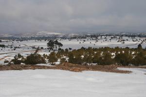 Piste entre Dar Chioukh et Sidi Baizid
