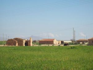 Champ agricole de Djelfa