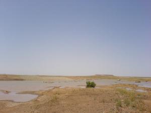 Ced  de dérivation  Melaga commune Douis