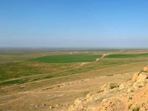 Champs Agricoles de Djelfa