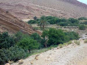 Paysage de Djelfa