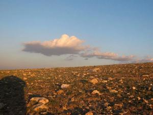 Champ Rocailleux à Djelfa