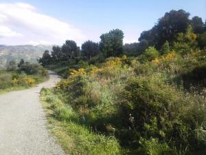 Sur la route de BOURAOUI BELHADEF,JIJEL