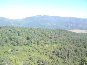 sedatt from taza,beni ftah,jijel