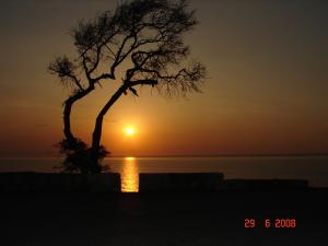 Algérie Jijel Ziama coniche