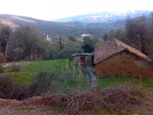 dar in aghil,beniftah,jijel,algeria