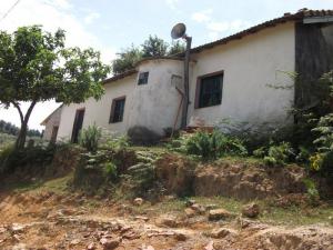 bouraoui belhadef-jijel