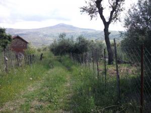 Une Ferme a REMILA,BENIAICHA,JIJEL