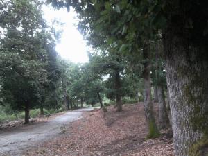 les hauteurs de Hamza , Jijel