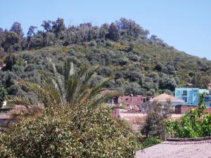 rue MARAH MILIA JIJEL abderahim bennini