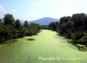 Emir-Abdelkader,Oued Djen djen en verdure (01-09-2009), au niveau pont reliant Tassoust -Taher (au fond Djebel Sidi Ali)