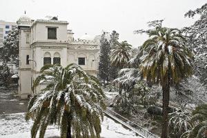 Alger Sous la Neige