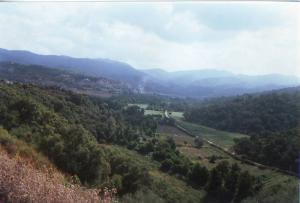 La route vers El-Merbaâ- Beni Belaïd