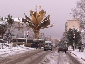 Fleur de lotus symbole de la ville de setif sous la neige