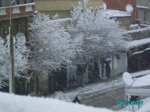 Avenue Zaabat Ramadhane, Setif