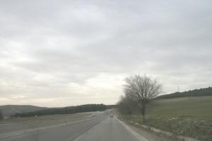 Chikh El Aifa  S?tif