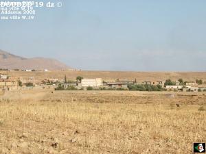 Moisson Pr?s de Setif