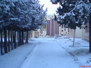 Institut d'Architecture et G?nie Civil