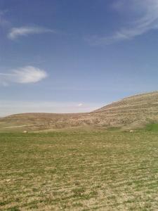 Collines pr?s de l'Anasser 1