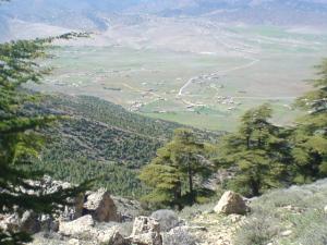 Paysage de Setif