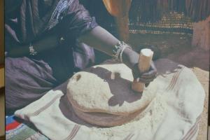 TAMANRASSET S'INVITE A TIARET