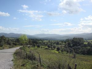 Settara, vers Skikda - Algerie Mars 2010