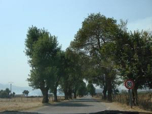 Entre Skikda et Jijel. Bin El-ouidene