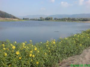 ouad el zhour skikda algerie.ouad armila