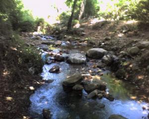 ouad el zhour skikda algerie*aljarf*