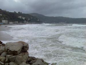 skikda algerie palge*chatou vert*