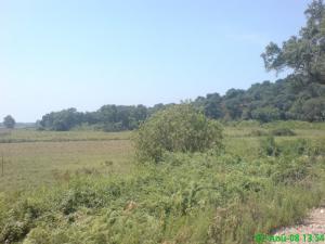 ouad el zhour skikda algerie-lotta