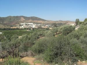 Universit? de Skikda