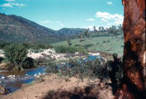 Oued Baroun Tamalous Skikda