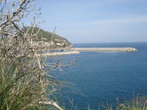 Port de Collo