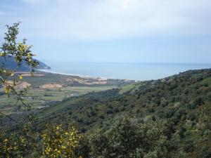 Paysage de bord de Mer ? Skikda