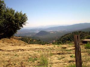 Sur le chemin de Oued Agouf, pr?s de Zitouna.