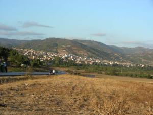 Champ de Culture ? Tamalous
