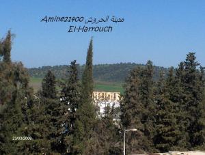 El-Harrouche  VUE AERIENNR SUR CIE ENNASR(460LOGTS)