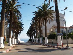 AIN TAYA  LES TAMARIS AVEC SES DEUX RANGEES DE PALMIERS