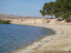 Lac Sidi Med Benali (Sidi Bel Abbes)