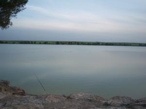 Sidi Mohamed-Bennali, Sidi-Bel-Abbes